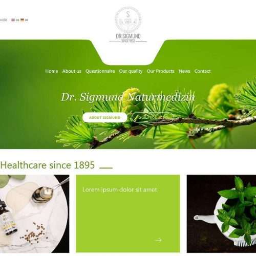 Dr. Sigmund - Wordpress Theme