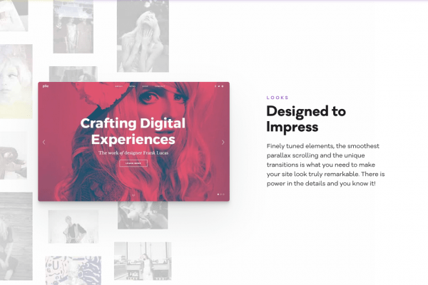 pile_design-o.png PILE - A WordPress Portfolio Theme